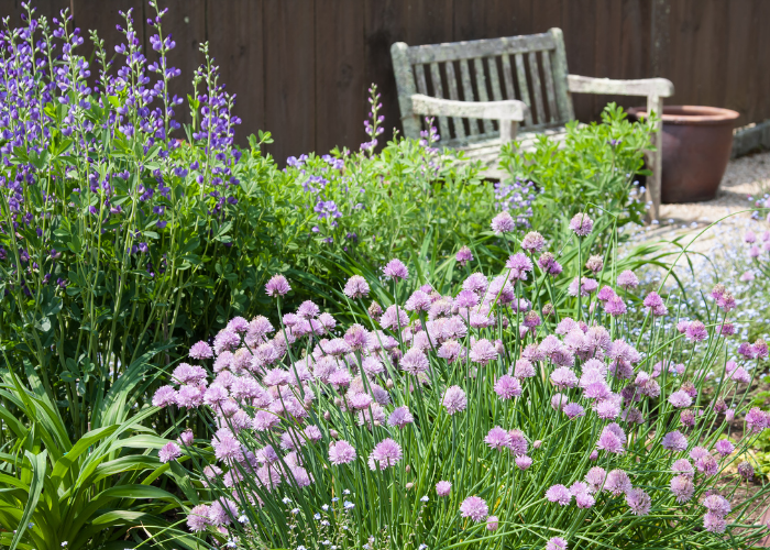 TOP 5 HERB GARDENS