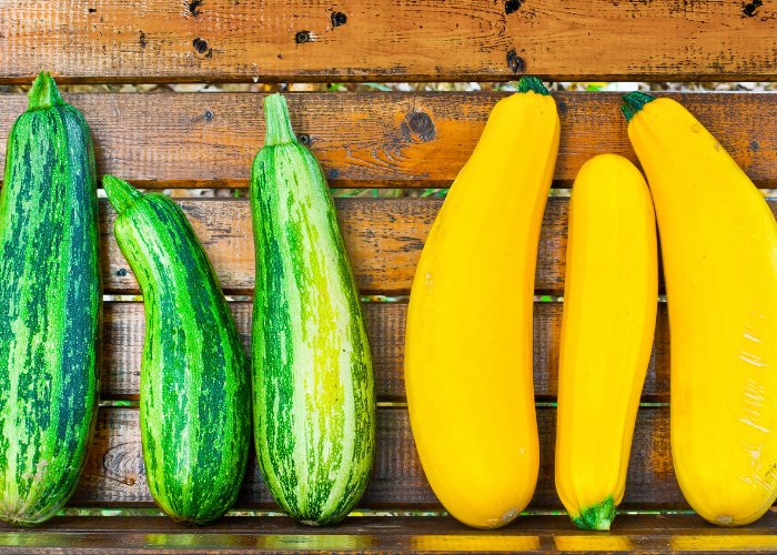 Join our 2021 Marrow Growing Competition!