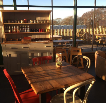 This is default alt image