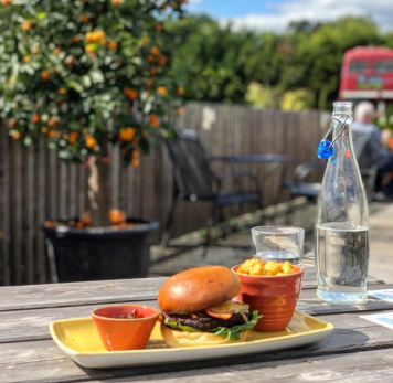 This is default alt image