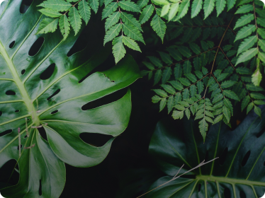 This is default alt image