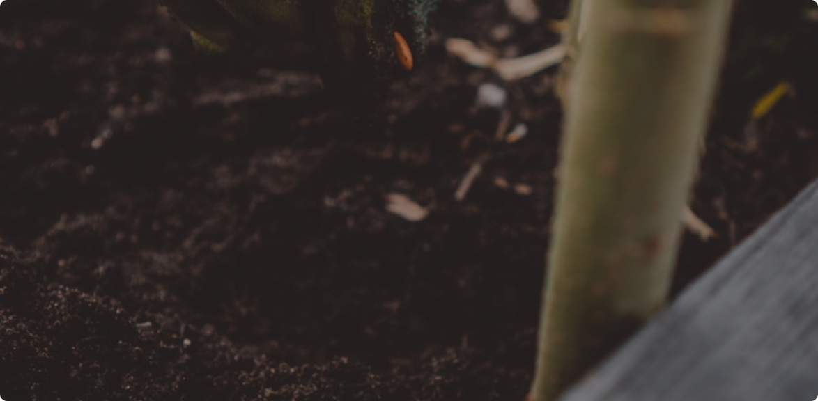 This is default alt image