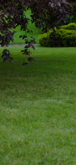 This is default alt image