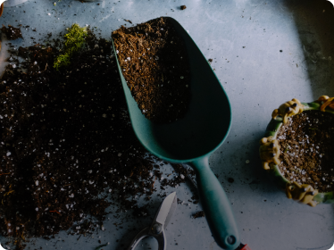 This is default alt image