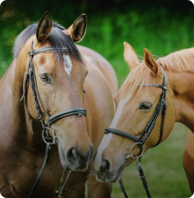 This is default alt image