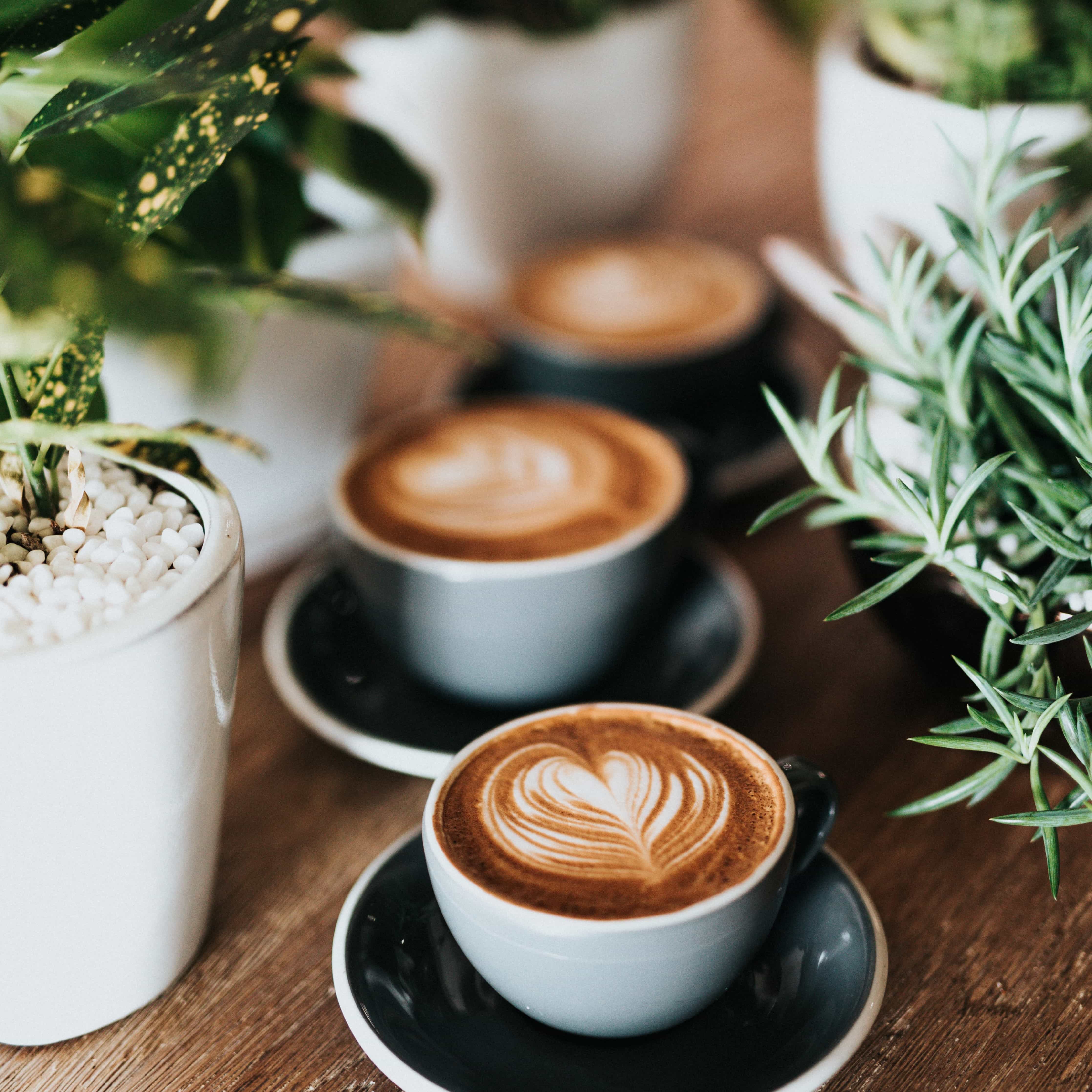 This is default alt image