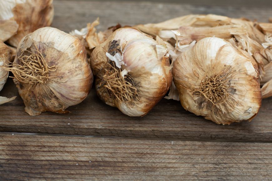 This is default alt image