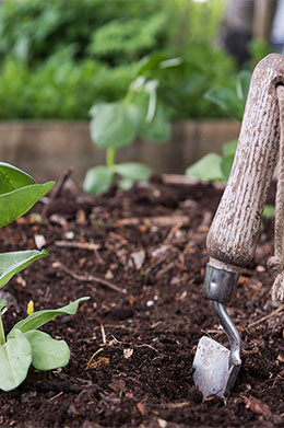 This is default alt image