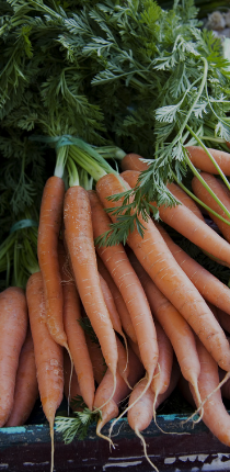 This is default alt image