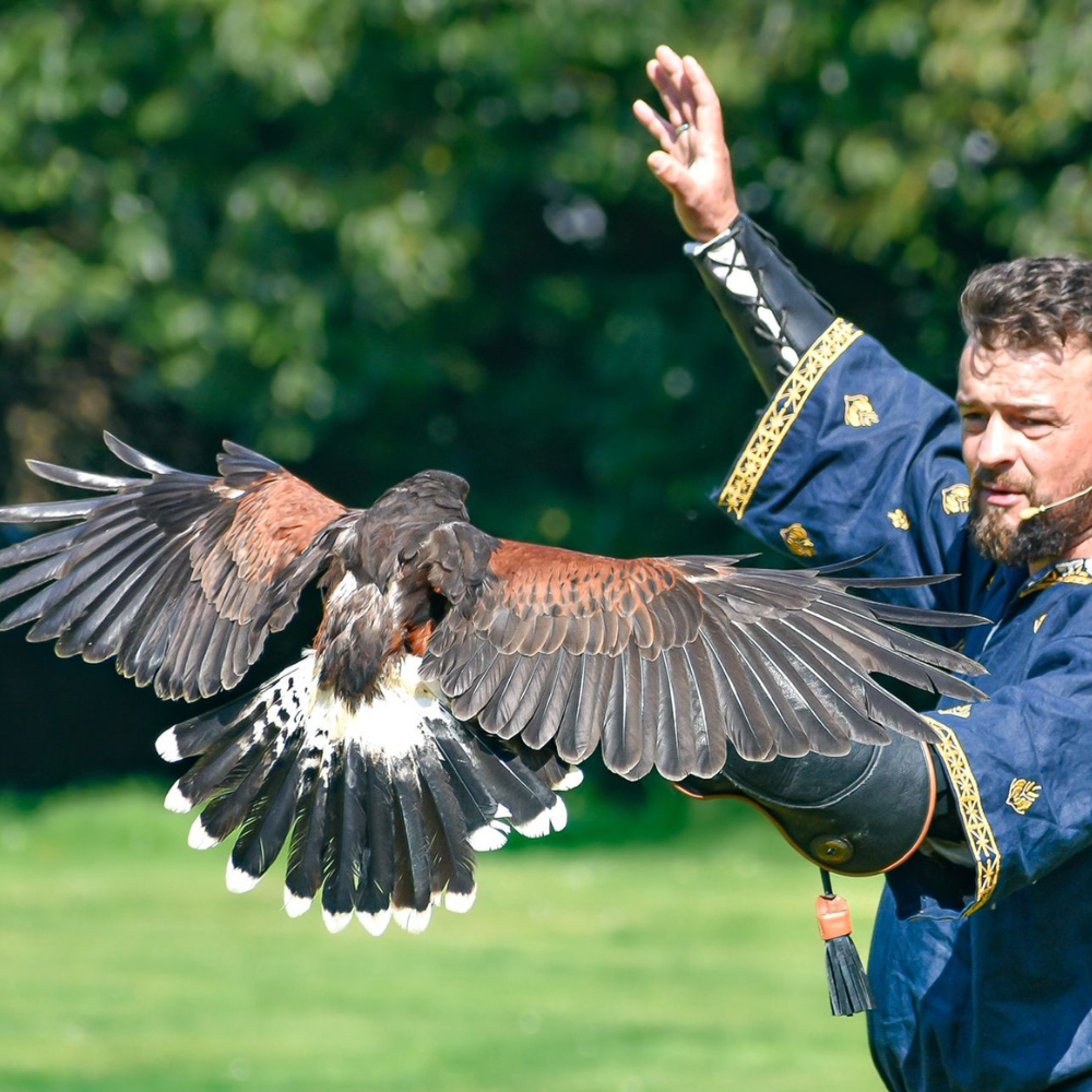 This is default alt image