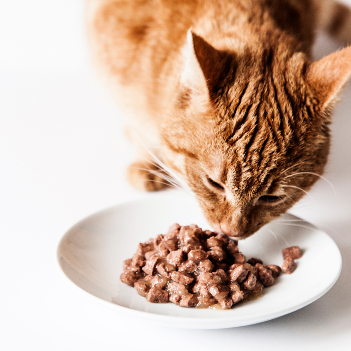 This is default alt image