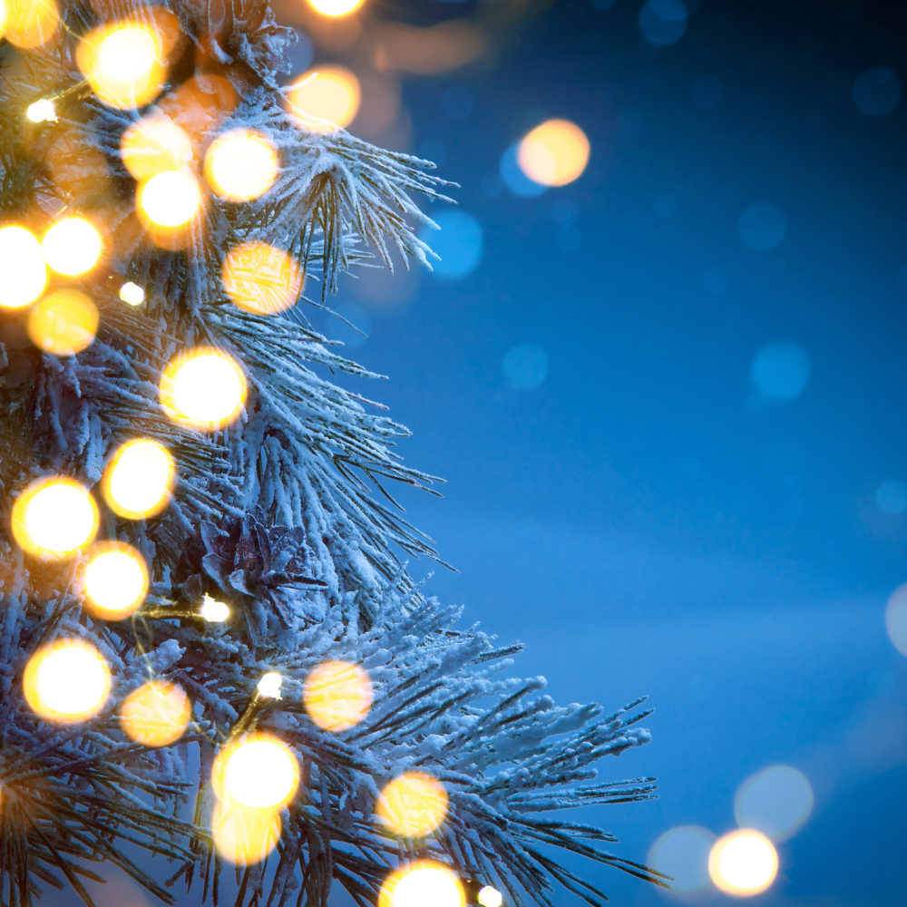 This is default alt image