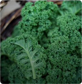 This is default alt image